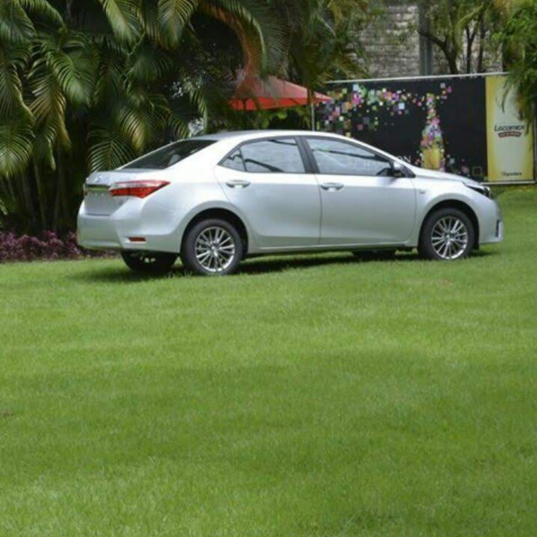 Veículo estacionado sobre área totalmente gramada com Cobograma